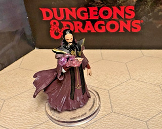 D&D Icons of the Realms SAMMASTER Adventures in Faerun #40