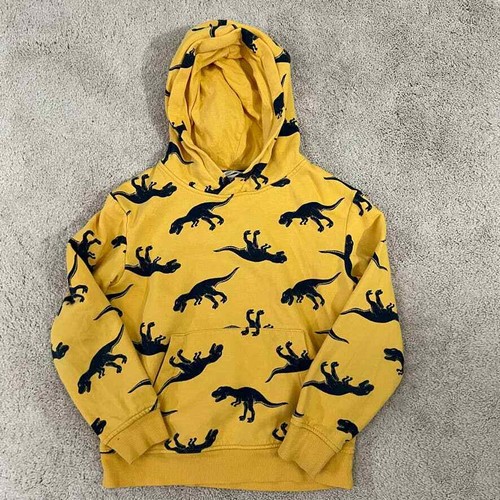 H \u0026 M Dinosaur Hoodie Sweatshirt Boys 