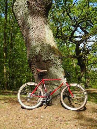 Breezer Storm retro MTB - Bild 20 von 20