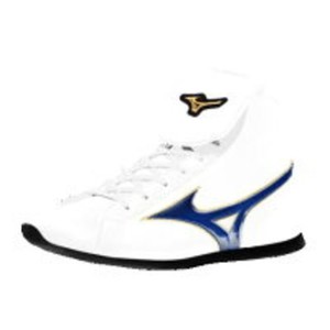 Boxing Shoes Mizuno | eBay