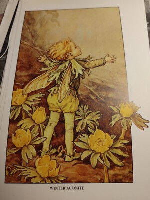Sk49 Ephemera Book Picture Flower Fairy Winter Aconite