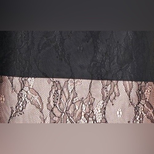Neu mit Etikett Kay Unger Alexis Ballkleid Kleid gestreift Blumenspitze schwarz nude schick formell 2 - Bild 3 von 11