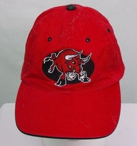 bulls hats lids