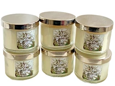 Lot of 6 Slatkin & Co. FRESH BALSAM Scented Mini Travel Candle 1.3 oz  ~ New