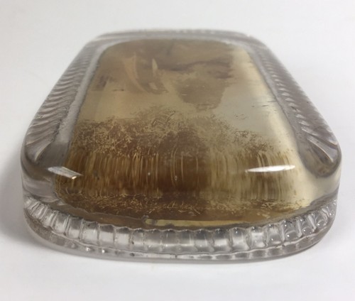 Antique Photograph Paperweight Glass Captain Visger Excursion Boat Steamboat VTG - Picture 6 of 8