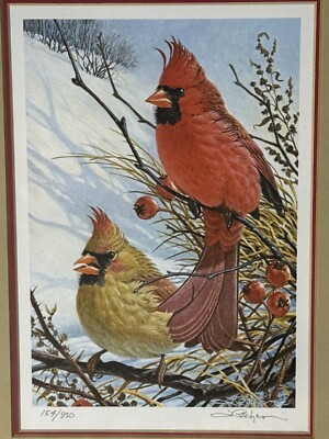 Rare 1983 John Pitcher Windy Cardinal Portrait. #154/950 Thick Wood Frame Signed