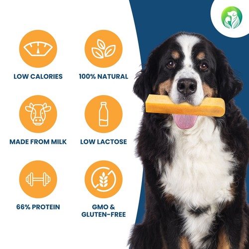 Dilecti Cheese Bones - Tasty, Hard and Long Lasting Dog Chews, X-Small, set of 5 - Picture 3 of 7