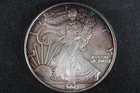 NobleSpirit GEM BU 2004 American Silver Eagle .999 1oz Dark Toning