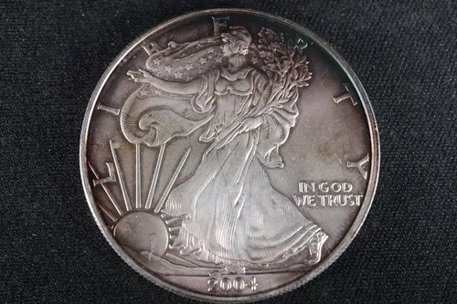NobleSpirit GEM BU 2004 American Silver Eagle .999 1oz Dark Toning