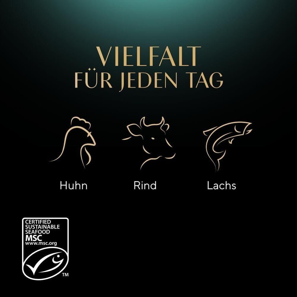 Bild 9 von 15