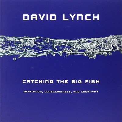 Catching the Big Fish: Meditation, Consciousness, and Creativity - paperback...
