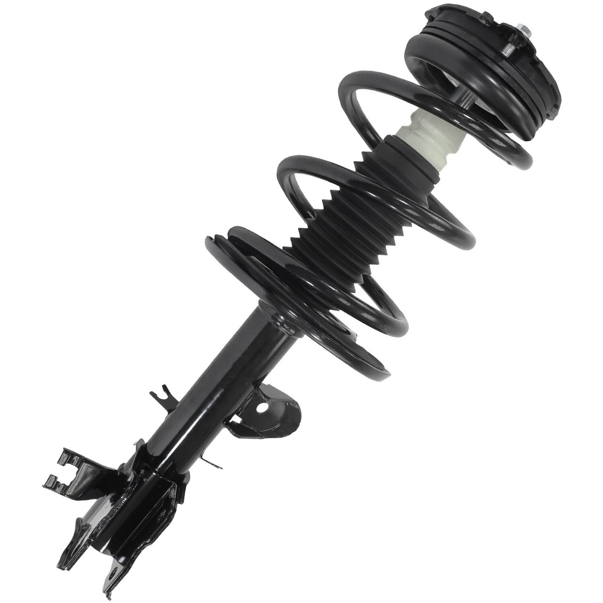 Front Right Passenger Side Strut for Nissan Murano Pathfinder