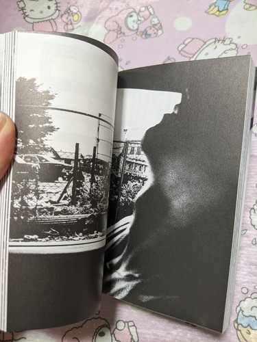 Daido Moriyama Memories of a Dog Photography Book Japan Essay Photo Collection - Picture 6 of 9