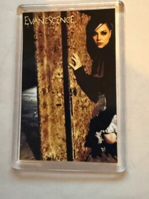 Evanescence, American Rock Band, Superb fridge magnet