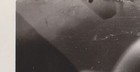 Foto 2 di 7