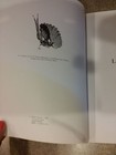 Foto 3 di 12