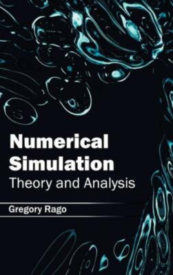 Numerical Simulation: Theory And Analysis