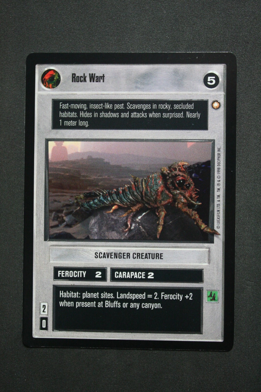 Picture 6 of 44