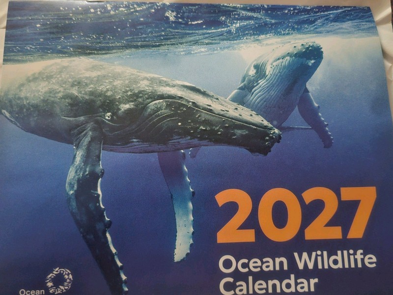 Ocean Conservancy - 2026 - 16-Month Wall Calendar - Ocean Wildlife Photography