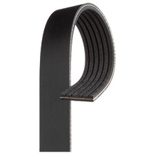 Keilrippenriemen für Mercedes S-Klasse C215 W220 SL R129 R230 SLK R170 | 245216