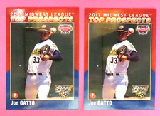 2 - 2017 Midwest League T/P. Burlington Bees - JOE GATTO