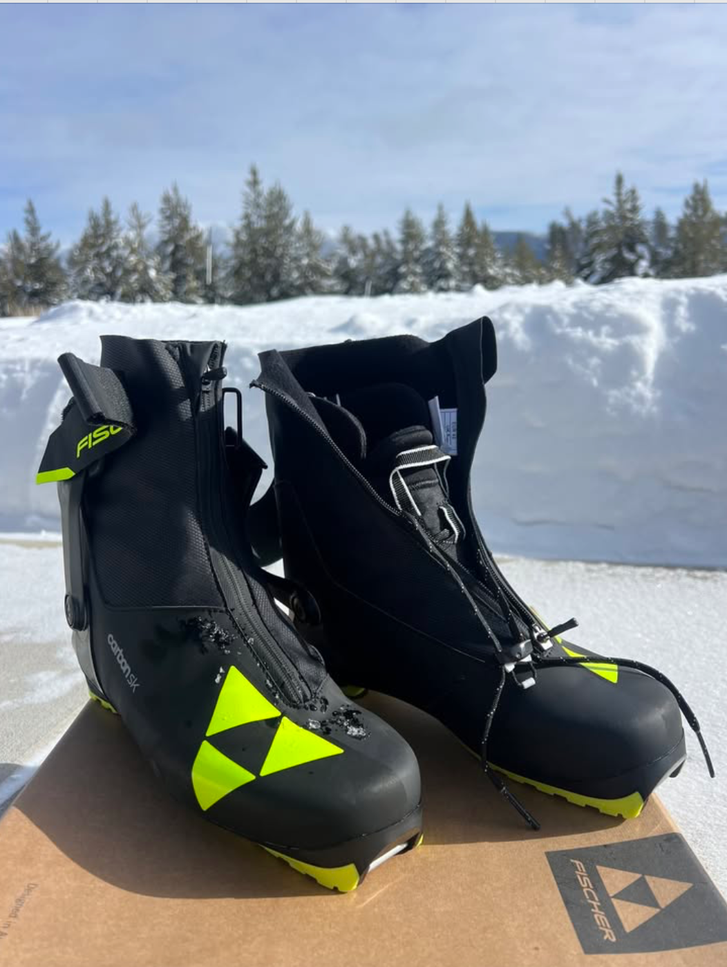 SALOMON Scarpone da sci Fischer in carbonio: taglia 42