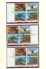 Foto 2 di 5
