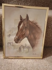 Ruane Manning Racehorse Framed Print