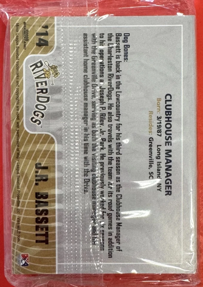 2014 SAL Top Prospect & Charleston Riverdogs Sets 🔥 AARON JUDGE 🔥 2 SETS! MVP - Image 4 of 4