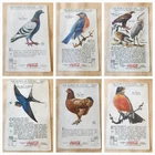 94 Vintage World of Nature COCA COLA Study Cards Series 1930's SERIES 1 Thru 8