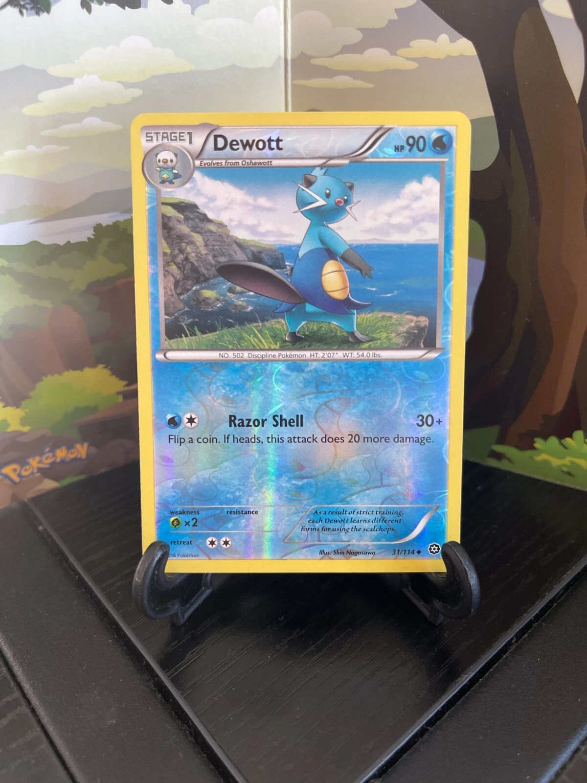 Dewott 31/114 - Steam Siege - Uncommon - Reverse Holo - Pokemon Card TCG - LP