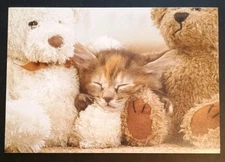 Funny Encouragement Card 