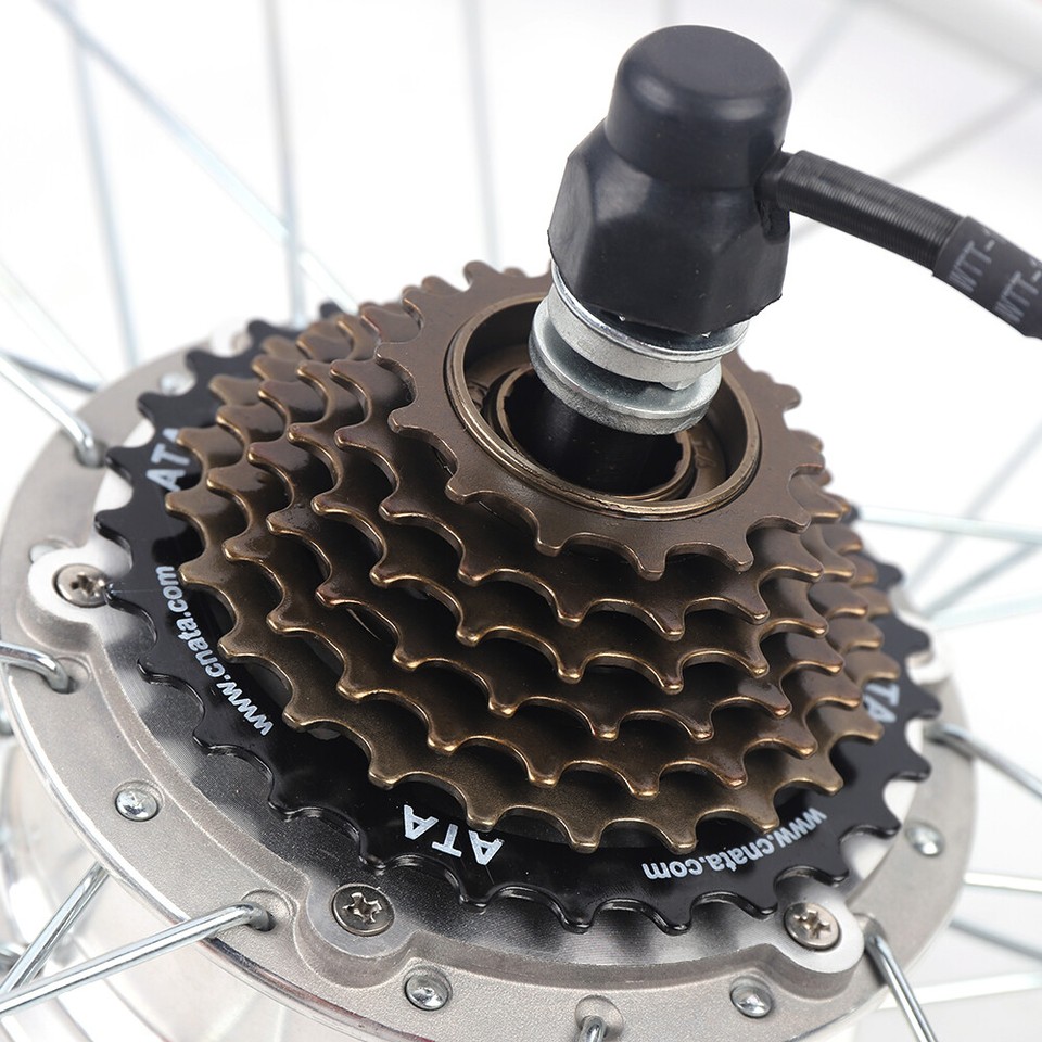 26 Inch 36V 250W Electric Bike Rear Wheel Conversion Kit E-Bike ...