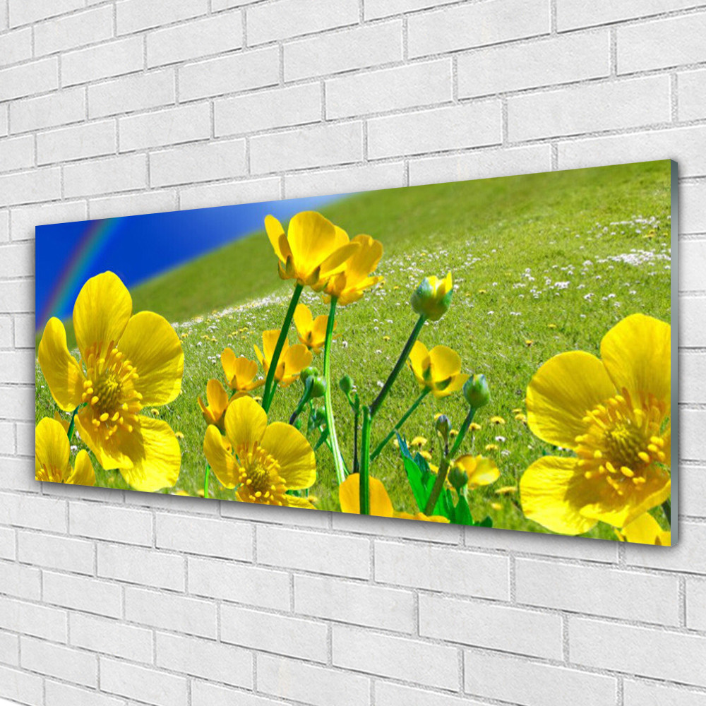 Impression sur verre acrylique paysage fleurs colorées et arc-en-ciel tableau mural