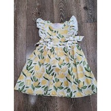 Pete and lucy lemon baby girl dress size 12-18m 4
