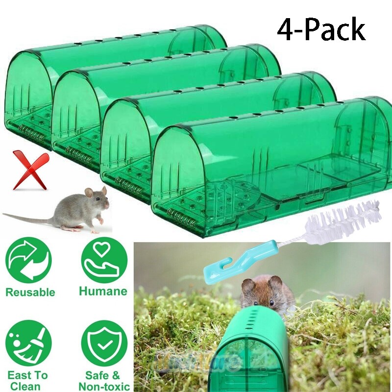 Humane Mouse Traps That Work