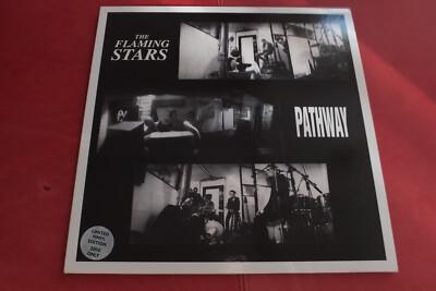 The Flaming Stars - Pathway 1999 Original LP Vinyl Japan mint-