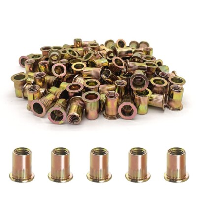 100pcs 10-24 UNC Rivet Nuts Carbon Steel Threaded Insert Nutsert Kit