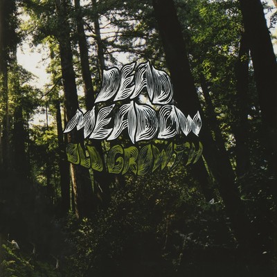 Dead Meadow Old Growth (Vinyl) 12'' Album Coloured Vinyl