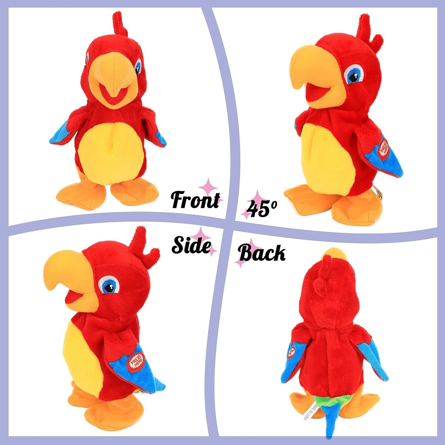 Talking Parrot Image 5