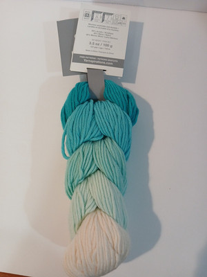 Caron x Pantone Faerie Cake multicolored yarn 3.5 oz 127 yards  B21