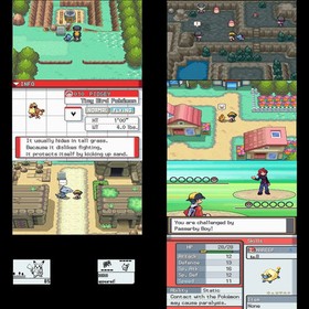 HeartGold & SoulSilver DS NDS Game US Version 2-in-1 Bundle