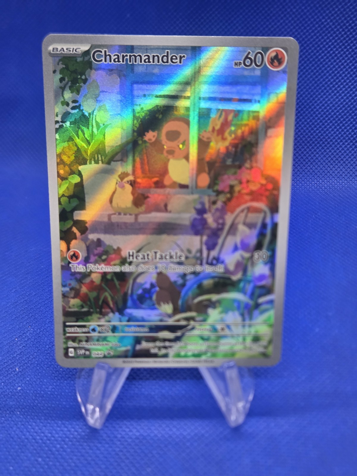 Pokemon Scarlet & Violet Obsidian Flames ETB Charmander 044 Black Star Promo NM
