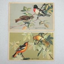 Vintage 1939 National Wildlife Bird Postcards Lot 2 Grosbeak & Bullock's Oriole