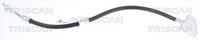 Triscan Bremsschlauch 8150 43136 FüR Hyundai KIA