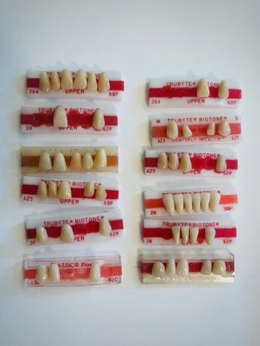 VTG Dental Prosthetic Loose 49 False Teeth Dentures Art Crafts Curiosity Oddity