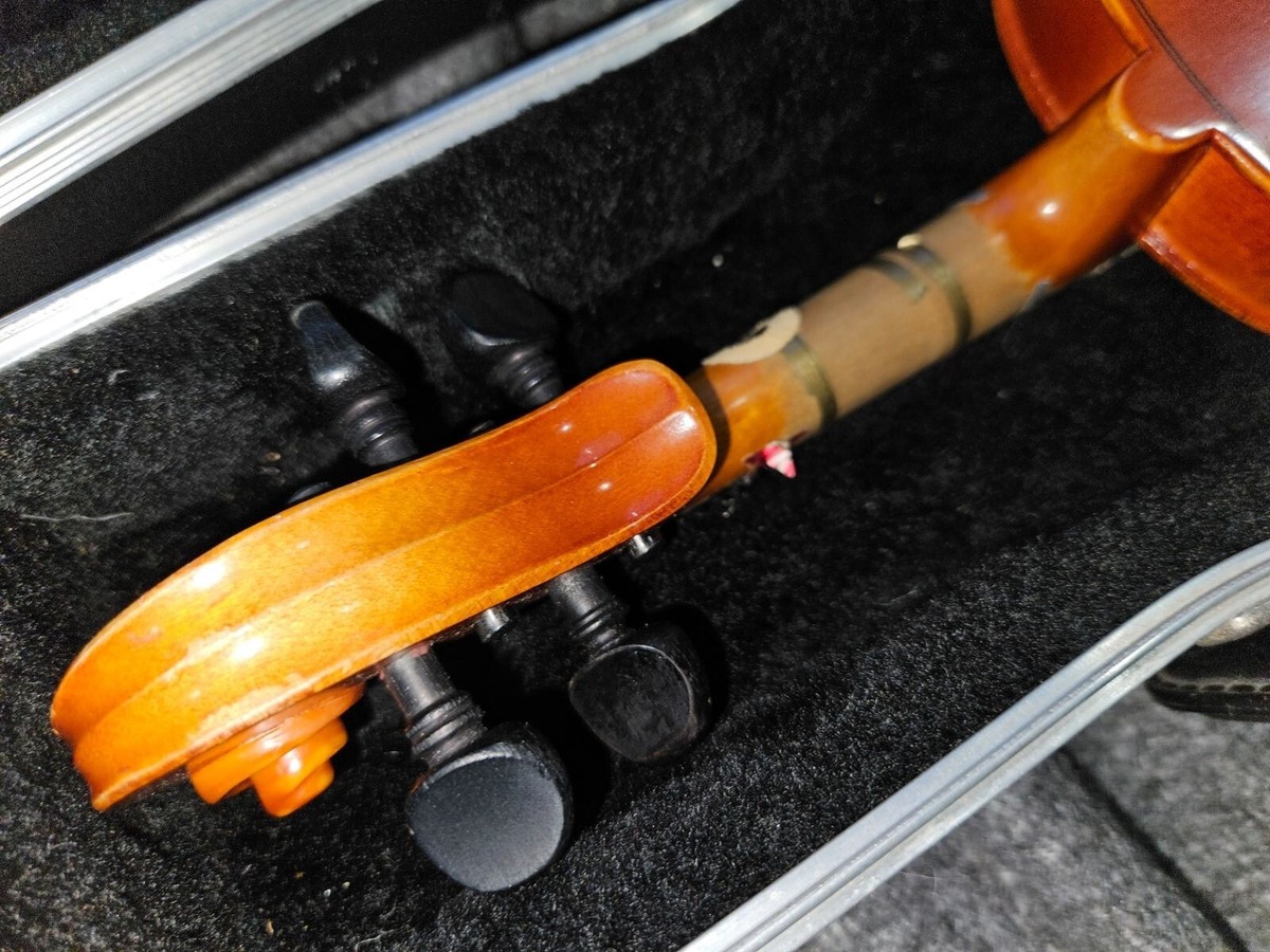 【美品】 SUZUKI Violin No.230 1/8 Anno2019 Suzuki 1/8 Size Violin - recent - Spruce Tree Music