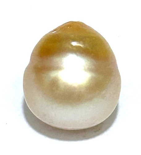 Oval 10.9 x 12 1mm 11 Carats Natural Golden Philippine South Sea Pearl Loose