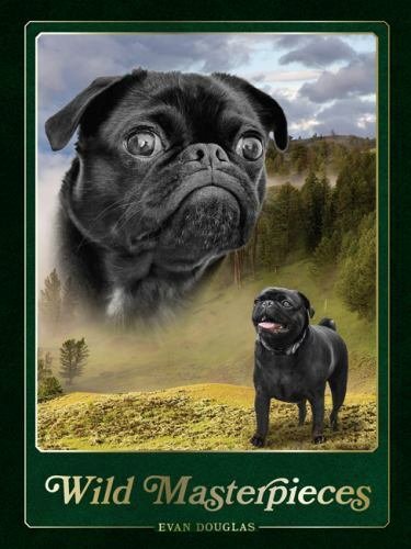 Wild Masterpieces: A Collection of Inspiring Animal and Pet Portraits, , Very Go