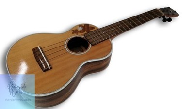 CHIHALE WORKS Concert Ukulele 10C-S Mon Unique Design